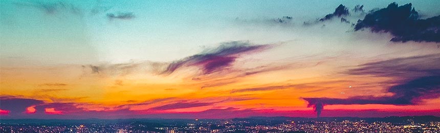 双鸭山茶虫网_双鸭山品茶